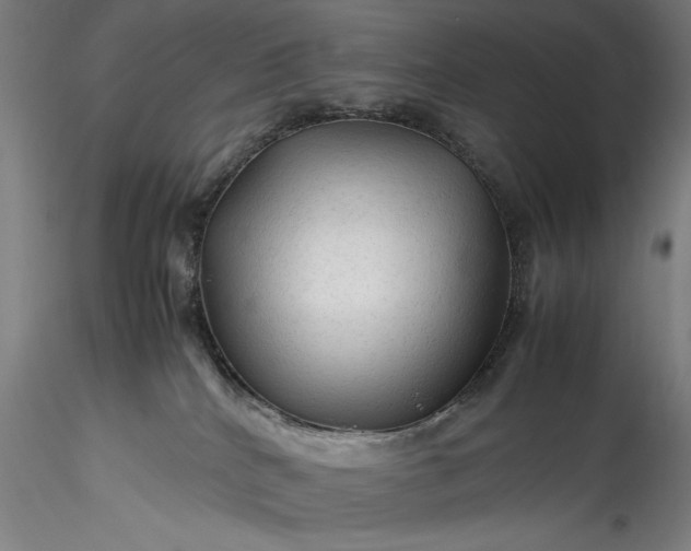 X0000115800040200911271301