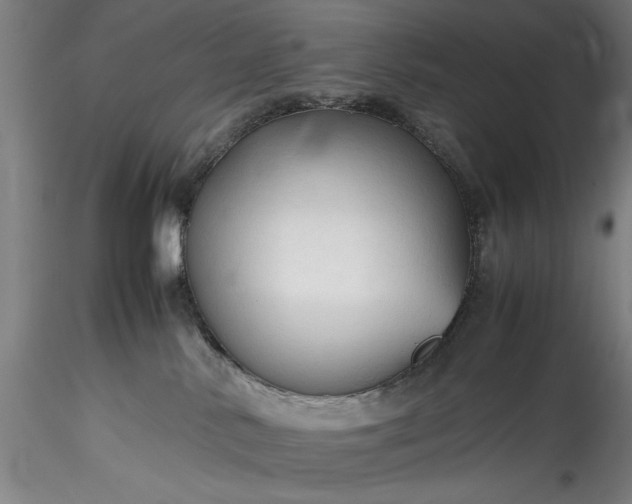 X0000115800042200911271301