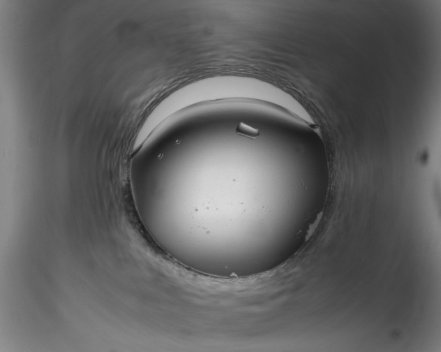 X0000115800043200911271301