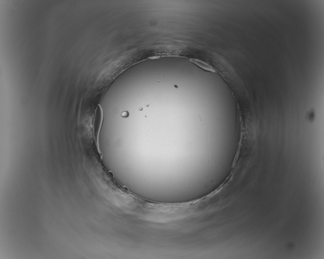 X0000115800045200911271301