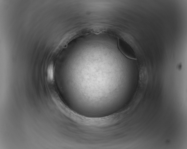 X0000115800046200911271301