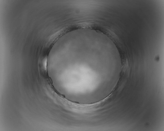 X0000115800047200911271301