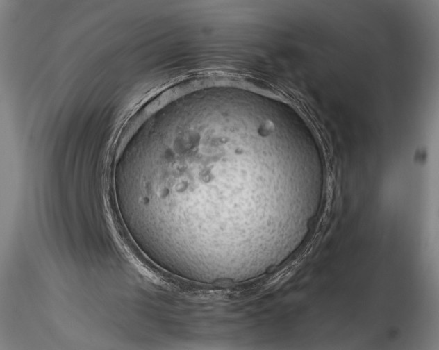 X0000115800049200911271300