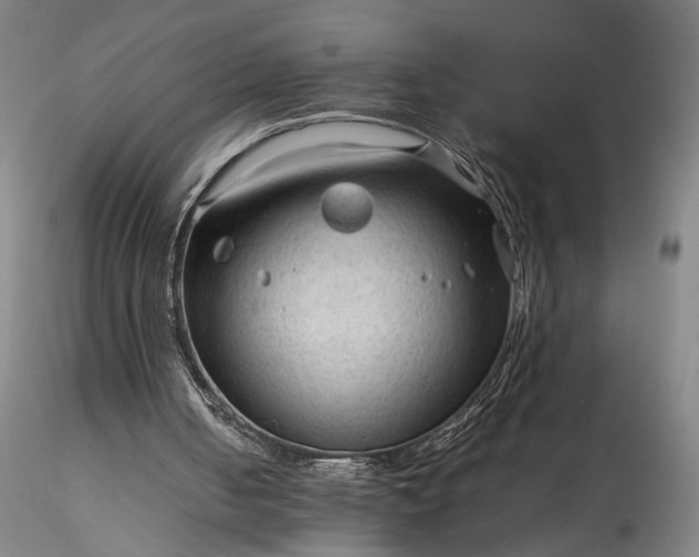 X0000115800050200911271300