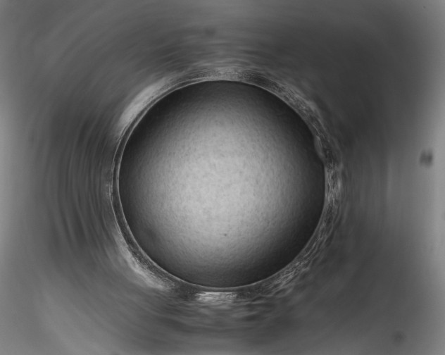 X0000115800051200911271300