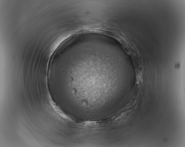 X0000115800052200911271300