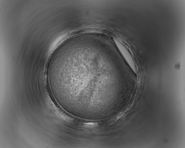 X0000115800053200911271300