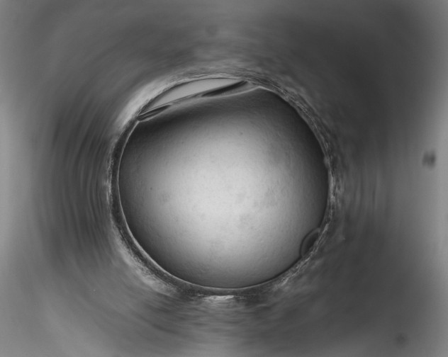 X0000115800054200911271300