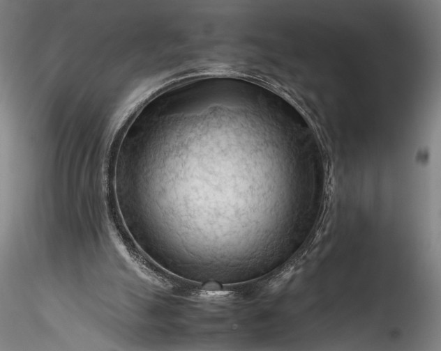 X0000115800055200911271300