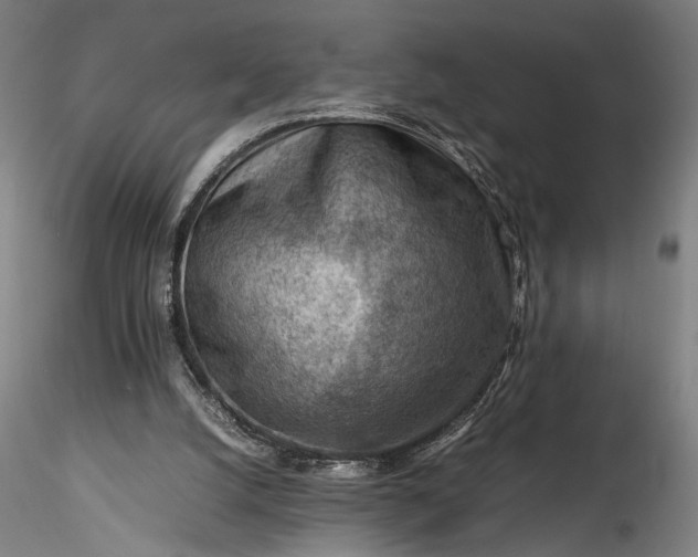 X0000115800056200911271300