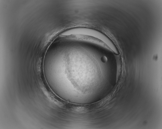 X0000115800058200911271300