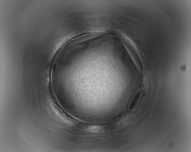 X0000115800059200911271300