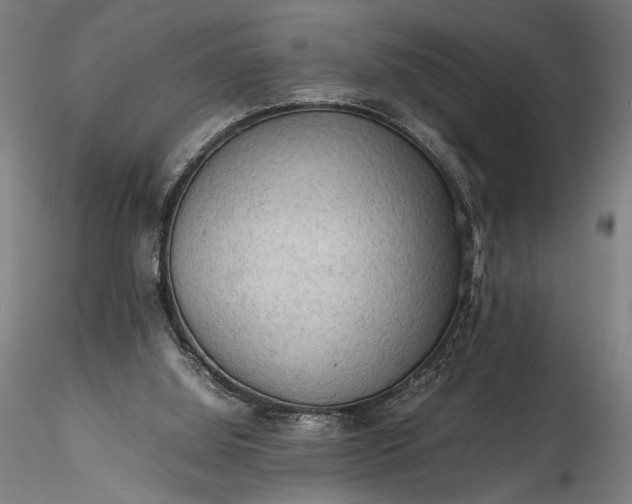 X0000115800060200911271300