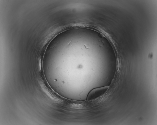 X0000115800061200911271300