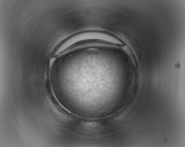 X0000115800063200911271300