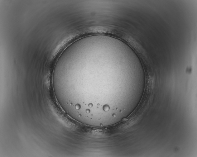 X0000115800064200911271300