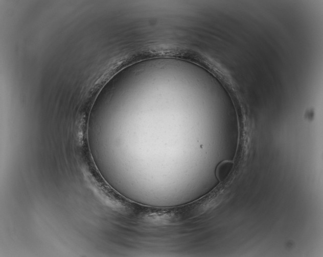 X0000115800065200911271300