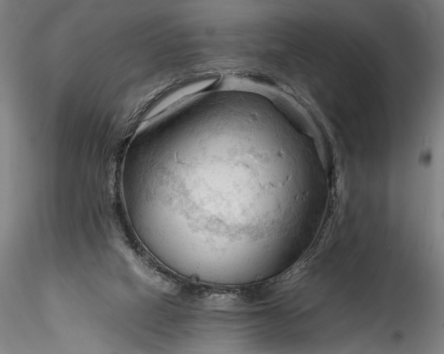 X0000115800066200911271300