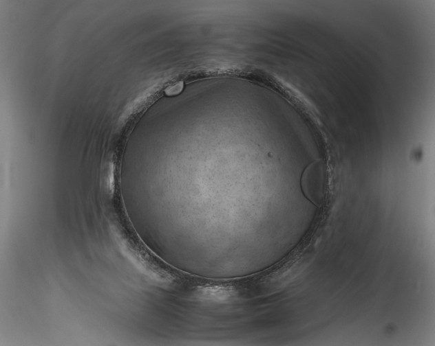 X0000115800067200911271300