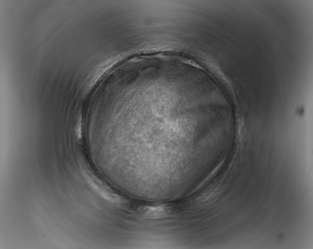 X0000115800068200911271300