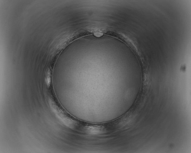 X0000115800069200911271300