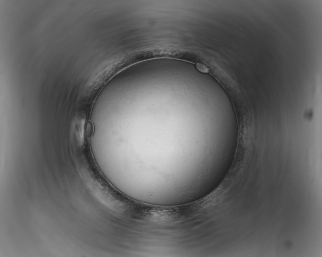 X0000115800070200911271300