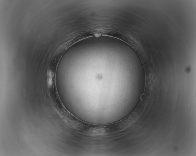 X0000115800075200911271300