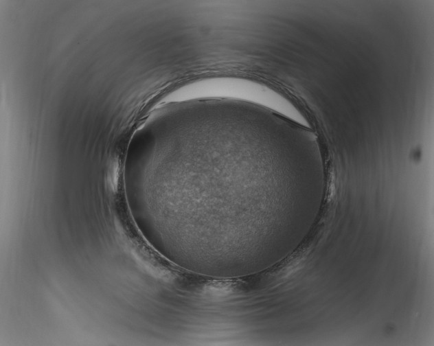 X0000115800076200911271300