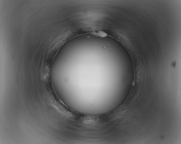 X0000115800077200911271300