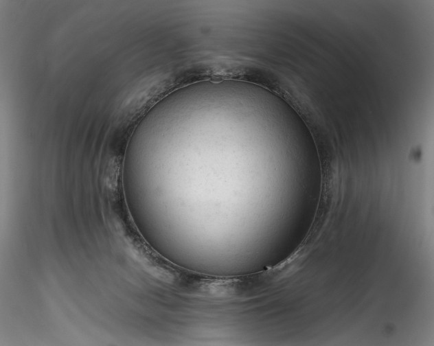 X0000115800078200911271300