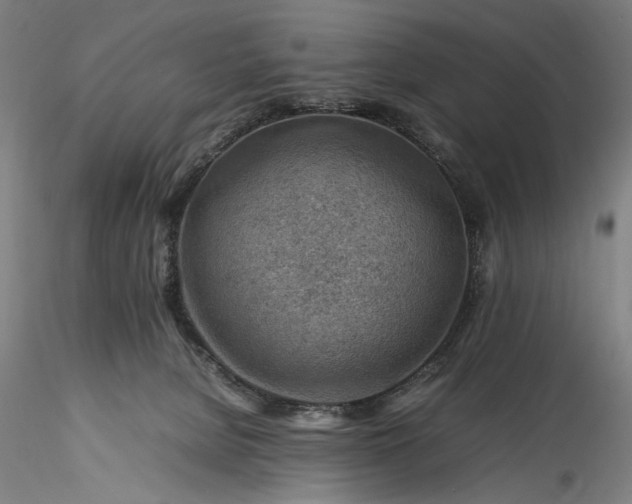 X0000115800080200911271300