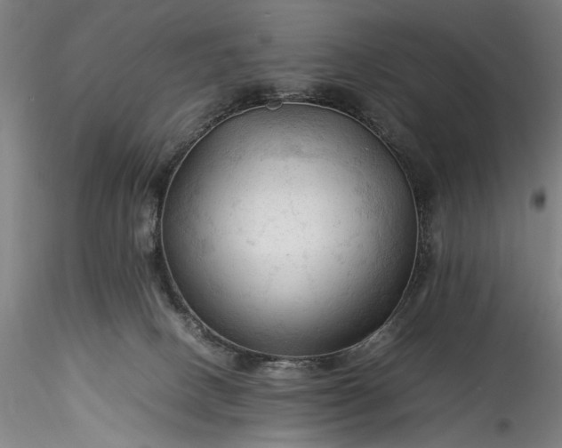 X0000115800082200911271300