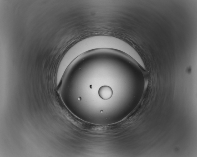 X0000115800084200911271300