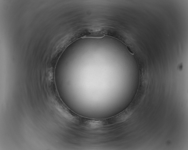 X0000115800085200911271300