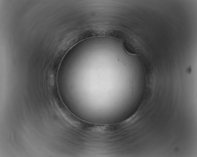 X0000115800086200911271300