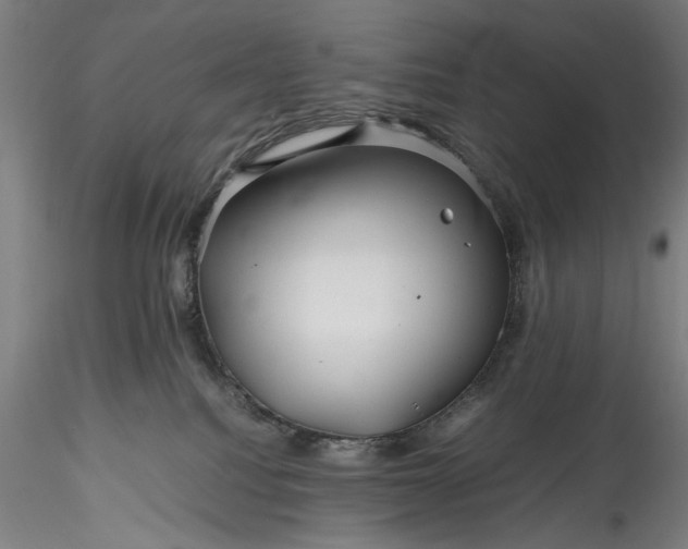 X0000115800088200911271300