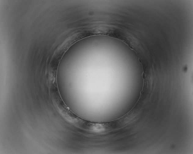 X0000115800091200911271300