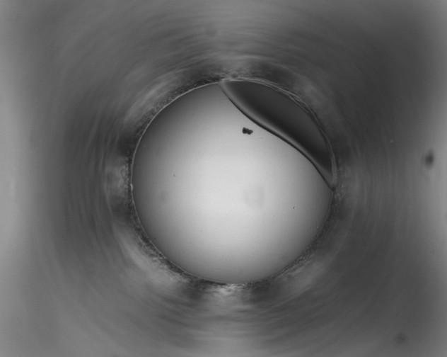 X0000115800092200911271300