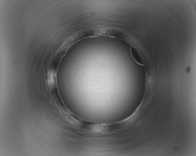 X0000115800094200911271300