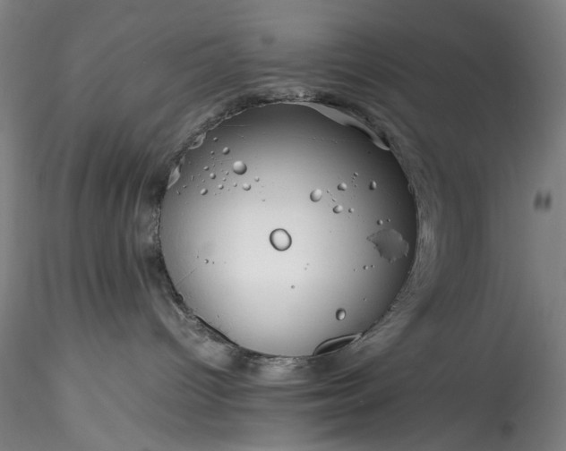 X0000115800096200911271300