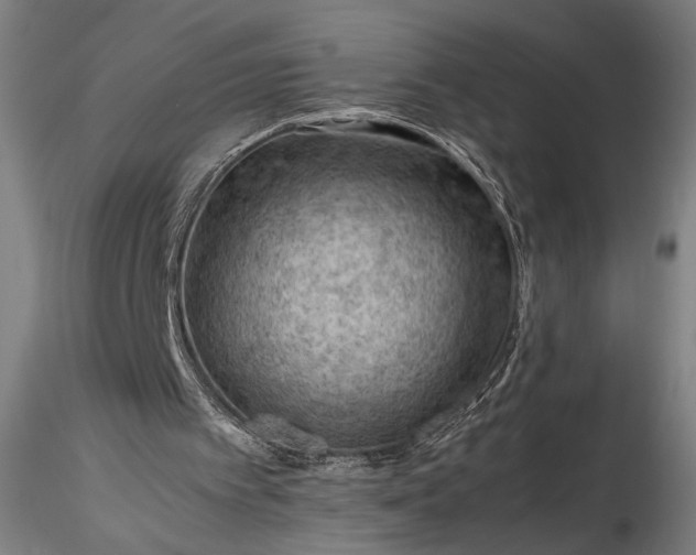 X0000115800097200911271300