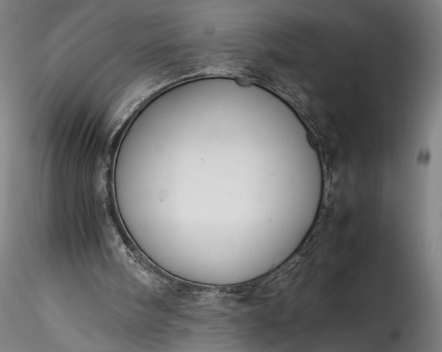 X0000115800098200911271300