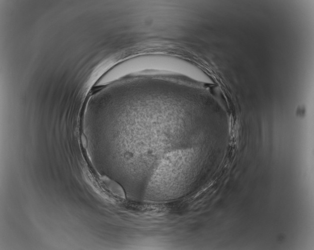 X0000115800099200911271300