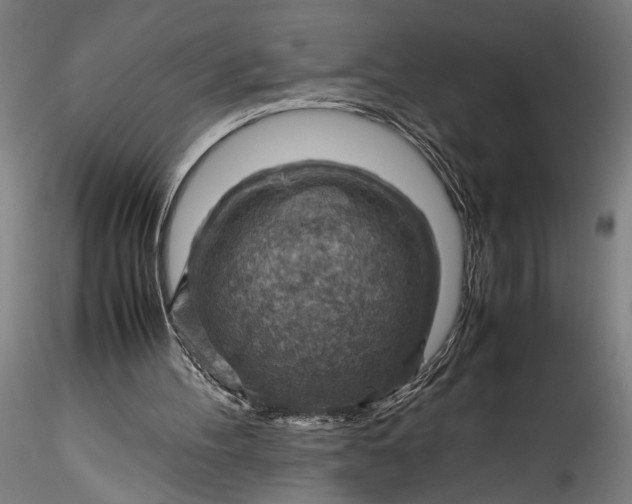 X0000115800100200911271300