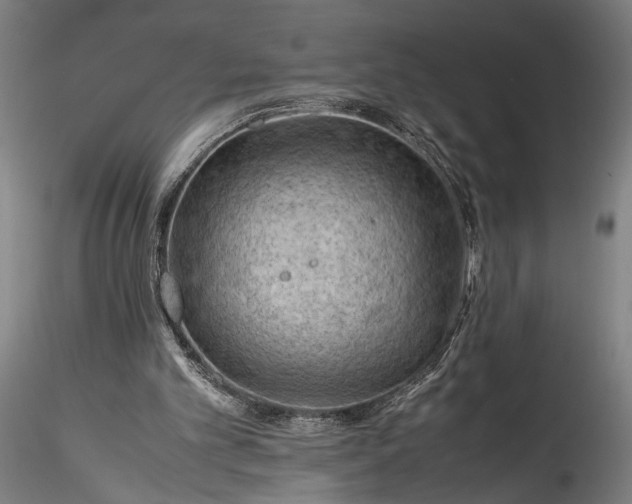 X0000115800101200911271300