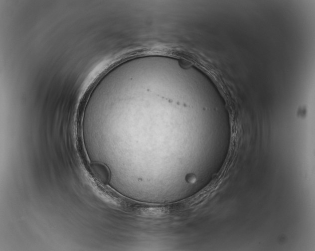 X0000115800102200911271300