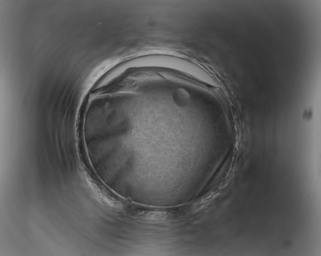 X0000115800104200911271300