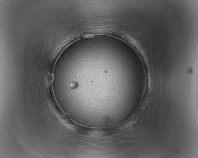 X0000115800105200911271300