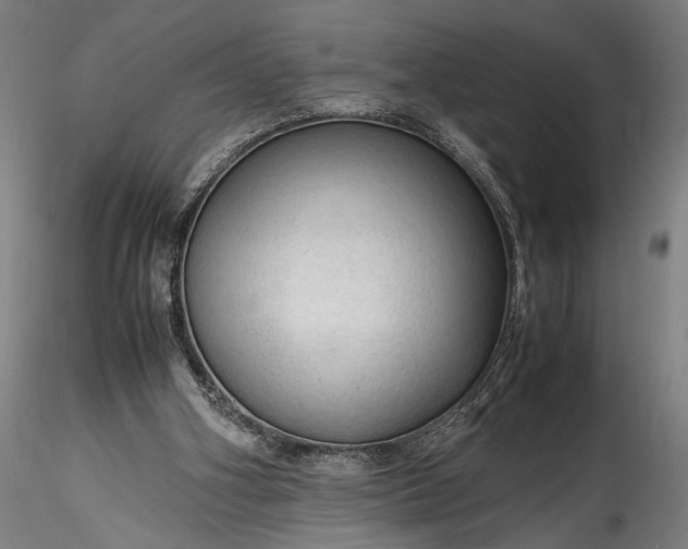 X0000115800106200911271300