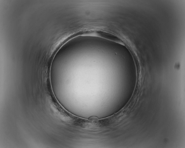 X0000115800107200911271300